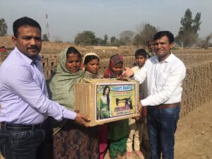 pakistan-seeds-1_orig