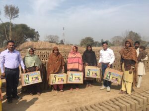 pakistan-seeds-2_orig