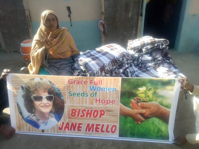 seeds-bashir-3_orig